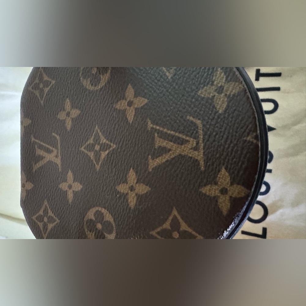 Authentic Louis Vuitton Cannes Monogram Reverse Canvas Bag - Picture 3 of 16